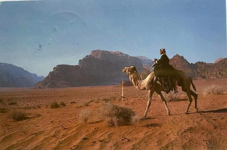 瓦迪拉姆 Bedouin Family Camp酒店 外观 照片
